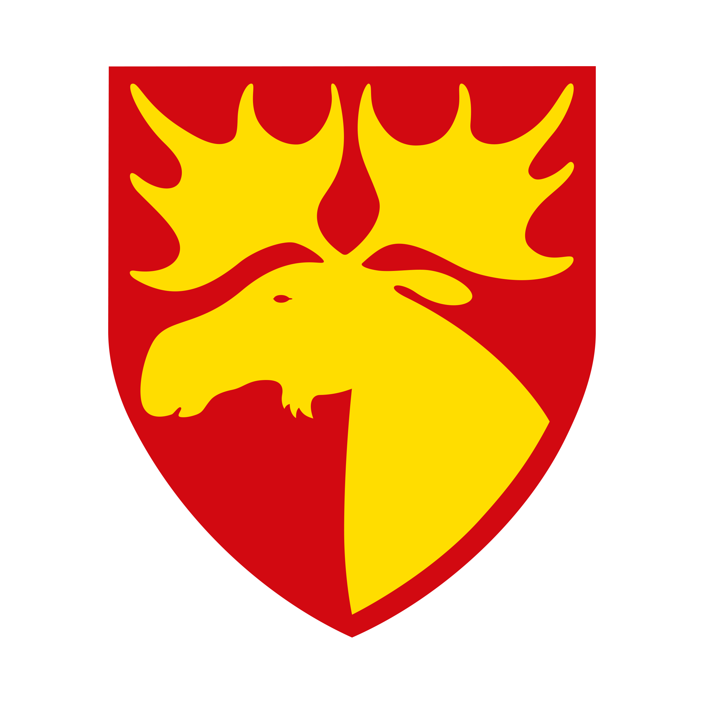 Namsos kommune 